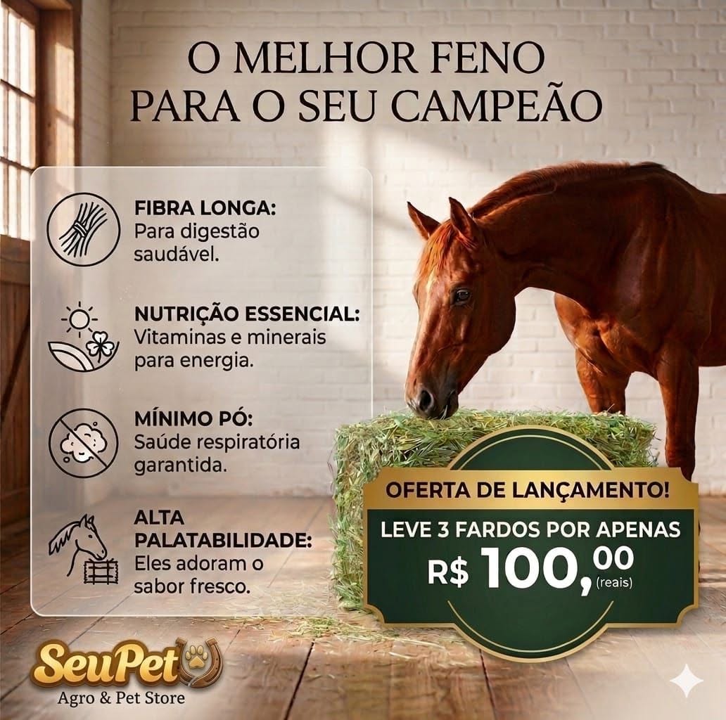 O melhor feno para o seu campeão